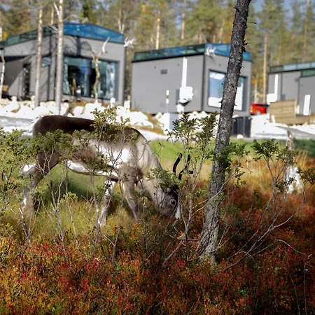 Levi Secret Igloo Ruska *