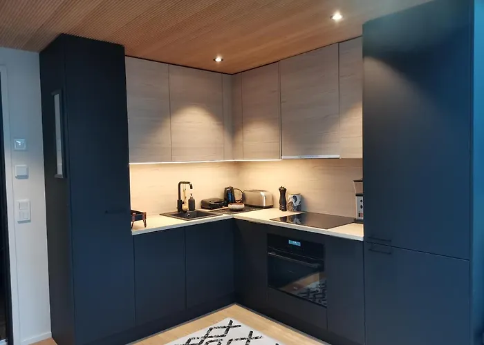 Levi Secret Igloo Ruska