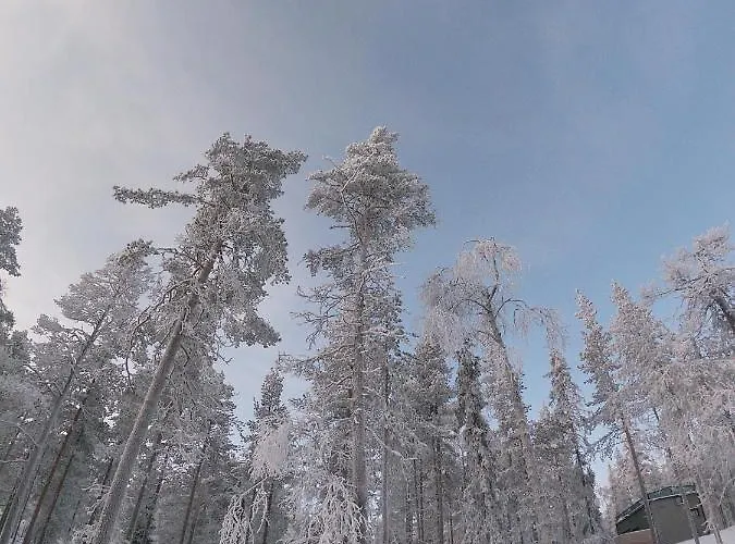 Levi Secret Igloo Ruska Lomamökit