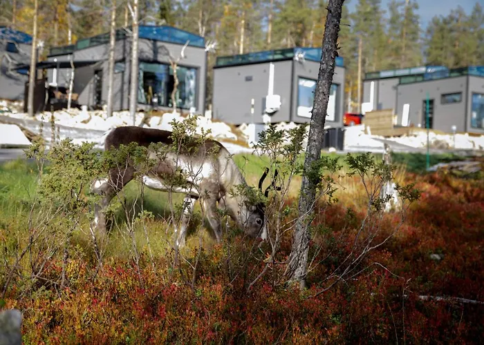 Levi Secret Igloo Ruska *