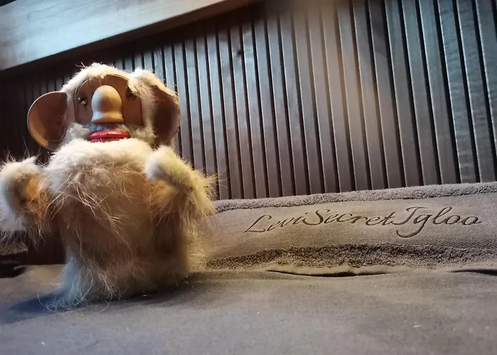 Levi Secret Igloo Ruska Lomamökit